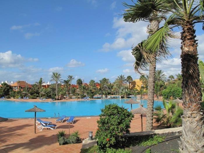 Oasis Tamarindo By Best Holidays Fuerteventura Corralejo Ngoại thất bức ảnh
