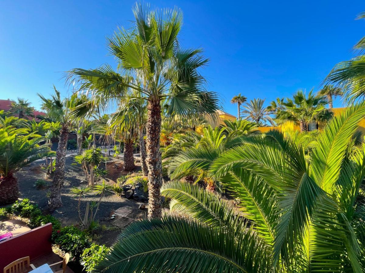 Oasis Tamarindo By Best Holidays Fuerteventura Corralejo Ngoại thất bức ảnh