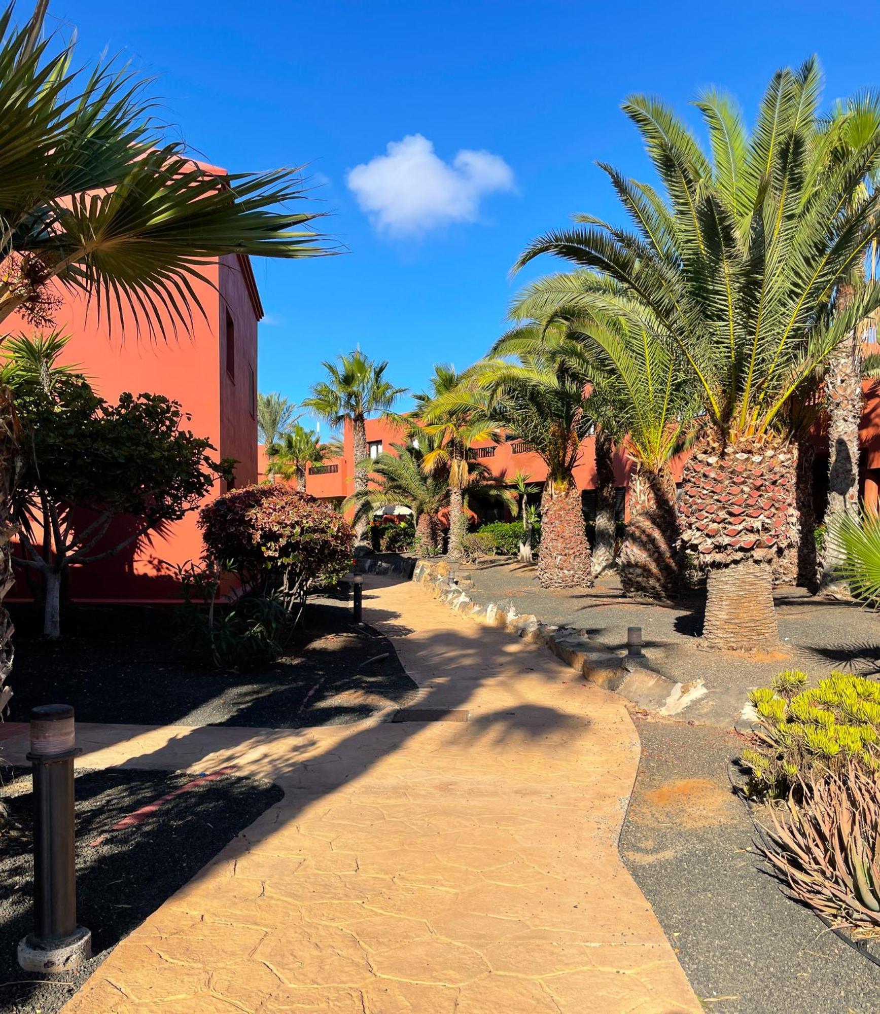 Oasis Tamarindo By Best Holidays Fuerteventura Corralejo Ngoại thất bức ảnh
