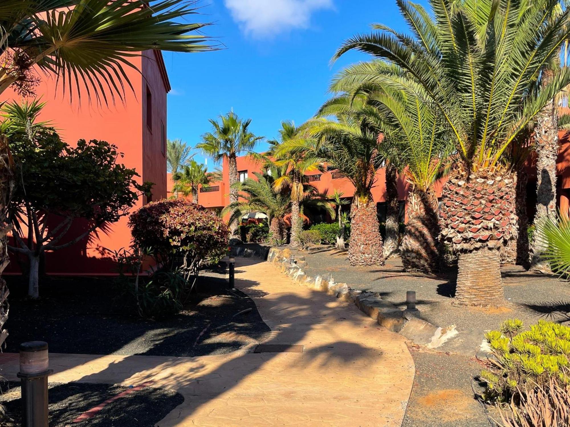 Oasis Tamarindo By Best Holidays Fuerteventura Corralejo Phòng bức ảnh