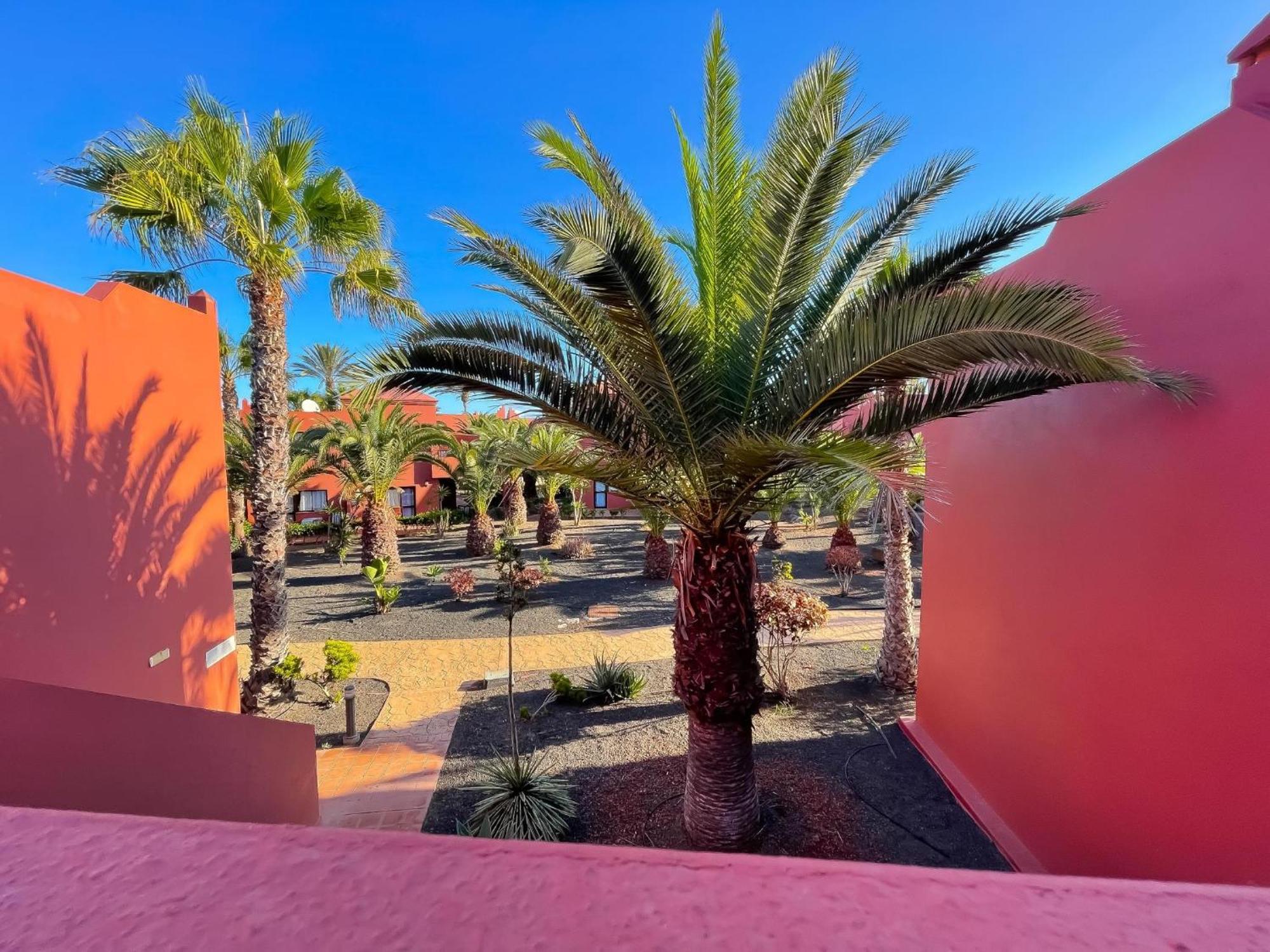 Oasis Tamarindo By Best Holidays Fuerteventura Corralejo Phòng bức ảnh